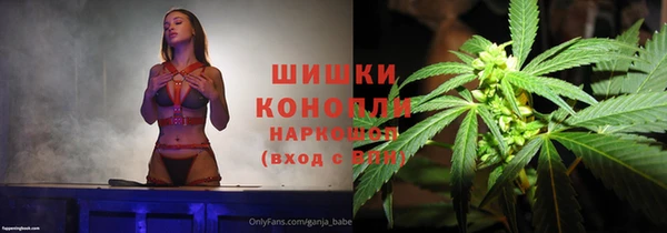 PSILOCYBIN Алексеевка