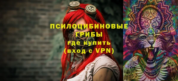 PSILOCYBIN Алексеевка