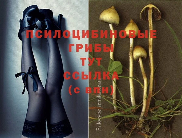 PSILOCYBIN Алексеевка
