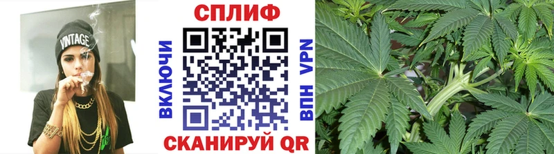 Каннабис сатива  Яровое 